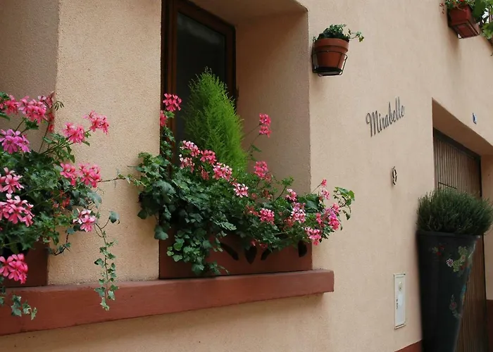 Mirabelle Bed&Breakfast